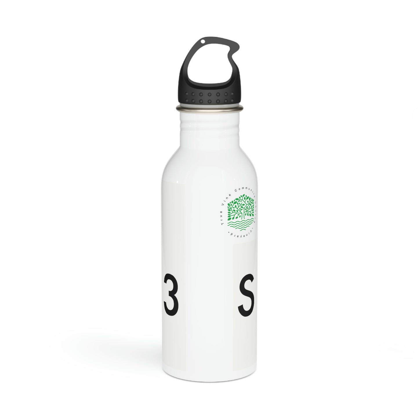 Stainless Steel Water Bottle